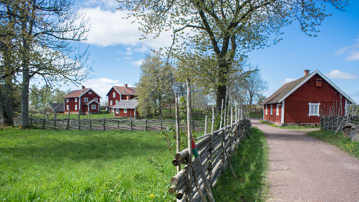 Utredare ska se över